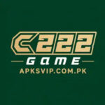 C222-Game