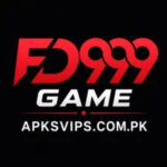 FD999-Game