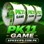 PK11-Game